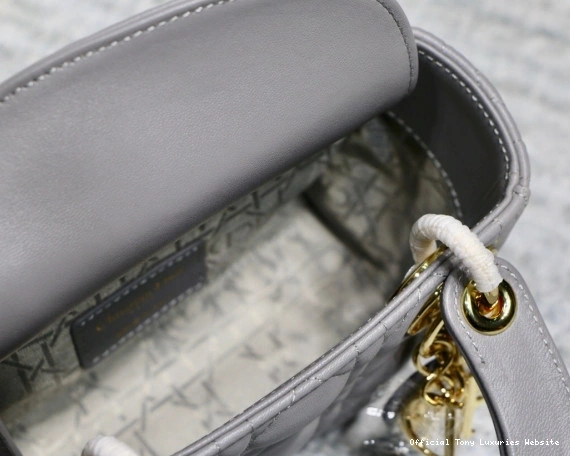 Tony Luxuries Lambskin With Lady diro Mini 0810
